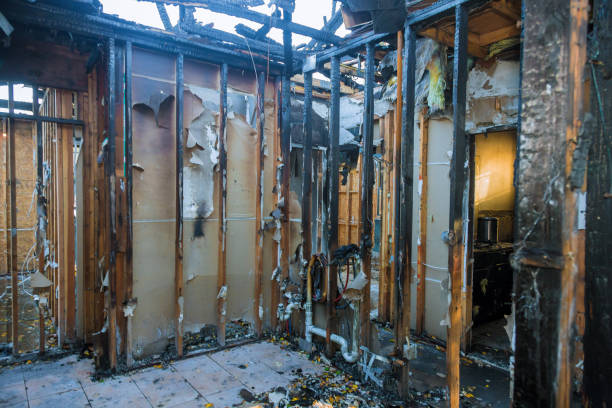 Professional Soot Cleanup technician working in Alexandria, KY