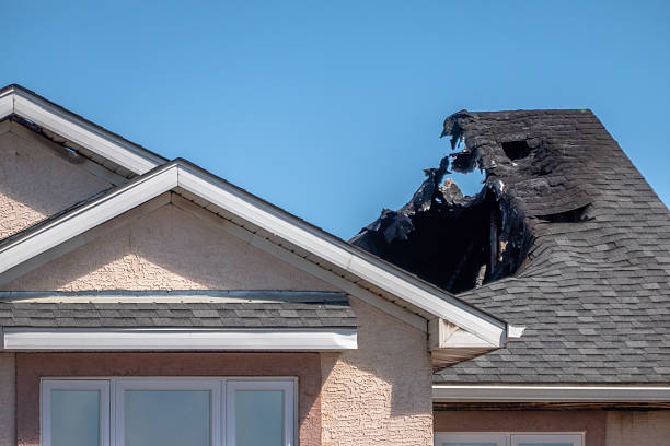 Top rated local Soot Cleanup specialists in Alexandria, KY